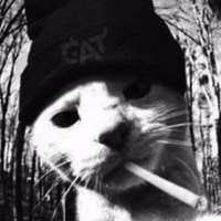 Cruuke (@cruuke23) 's Twitter Profile