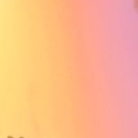船出 (@wfewctgvrt96148) Twitter profile photo