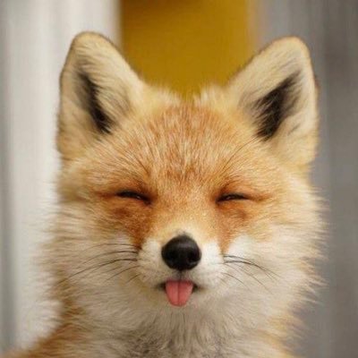 milou_1031's profile picture. 천방지축 어리둥절 빙글빙글 돌아가는 승협의 하루