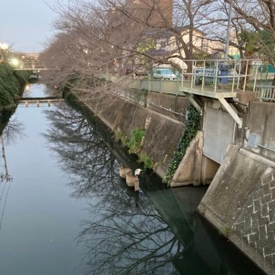 tsuruoka_w's profile picture. o-keis20期 かっぱ祭り 金融 ホラガラス 鉄腕シェフ