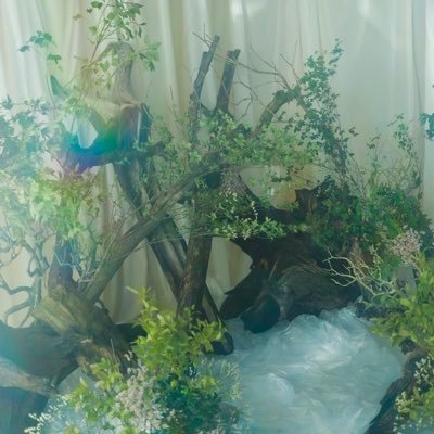 tomii_st_k's profile picture. 日常をつらつらと。メインSixTONES💎京本担、京本大我さんが大好きで京ジェ厨。 🏐HQ烏野と音駒。研日推。🌸A3復帰しました。莇九推。