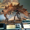 Dave Lee - @davelee1969 - Twitter