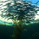 Carmen Kidd - @kiddsuniverse - Twitter