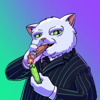 Candle (@candlesol) 's Twitter Profile