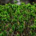 Learn Nature (@learnnature333) Twitter profile photo Learn Nature (@learnnature333) Twitter profile photo