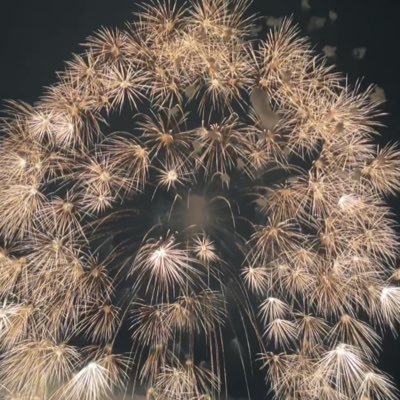 Akimae0524's profile picture. 