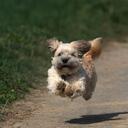 Michael Andy - @oldor - Twitter