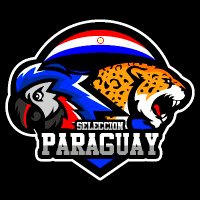 Paraguay Team (@paraguayteamcr) 's Twitter Profile