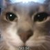 Andymon15 (@andymon1036) Twitter profile photo Andymon15 (@andymon1036) Twitter profile photo