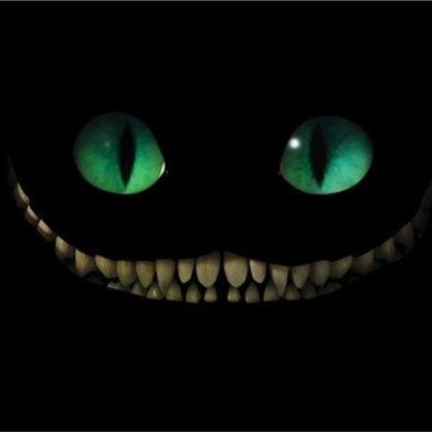 Jota_Barajas's profile picture. 90's guy, aviation geek.