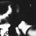 ⸸ (@uhhjahde) Twitter profile photo ⸸ (@uhhjahde) Twitter profile photo