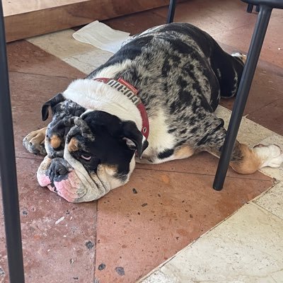 PauloOchoa18's profile picture. 