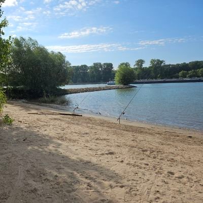 ThorstenSt847's profile picture. 