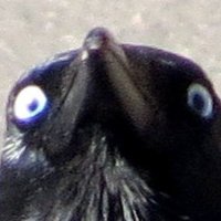 Eris (@d3ath4ngel__xxx) 's Twitter Profile