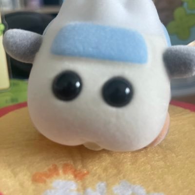 하아씨발