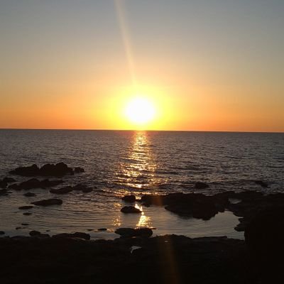 SirakovSof81940's profile picture. ｴﾙﾃﾞﾝﾘﾝｸﾞ、龍が如く、FFｼﾘｰｽﾞ、徳永英明、猫好きです
その他、地理歴史、世界情勢を呟きます