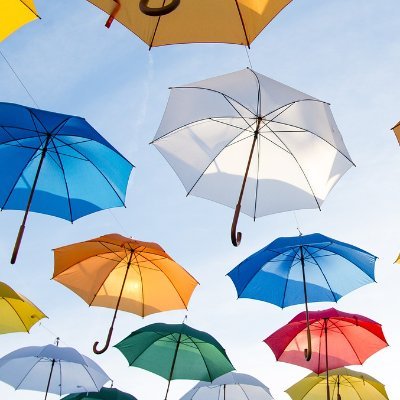 ella_prproj's profile picture. Digital Content Creator