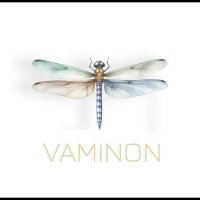 Arhavi Maden İstemiyor (@vaminon) 's Twitter Profile Photo Arhavi Maden İstemiyor (@vaminon) 's Twitter Profile Photo