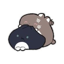 무순さんのプロフィール画像
