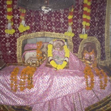 infomania_75844's profile picture. धर्मो धर्मा रक्षिता जय श्री राम