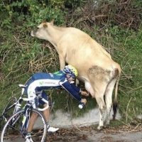 Cycling Memes (@cycling_memes1) 's Twitter Profile Photo