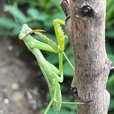 tS6Vyn7l3Nq91wR's profile picture. 