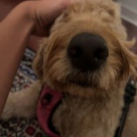 JB (@cybruppercut) 's Twitter Profile Photo