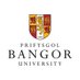 Seicoleg Bangor (@seicolegbangor) Twitter profile photo Seicoleg Bangor (@seicolegbangor) Twitter profile photo