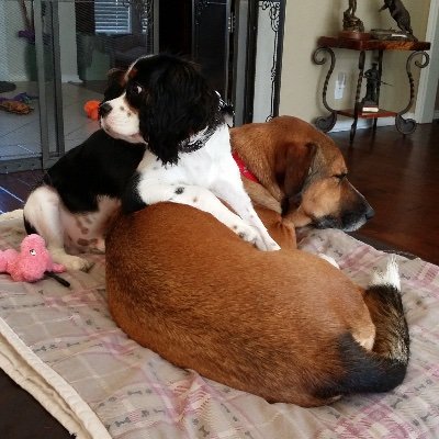 TBaxter78132's profile picture. 