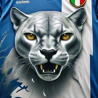 uso la tecnología, matemática, enseñanza, objetividad, el FÚTBOL a su mayor expresión.
