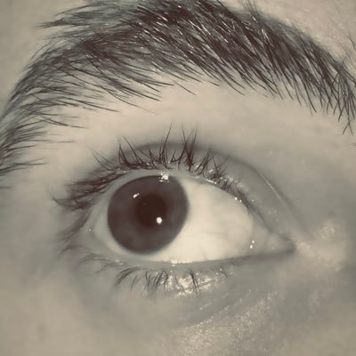 twtcitrusflower's profile picture. just a fag :/