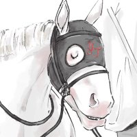🐎🍺(うまさけ) (@n4g1t4_m0t4) Twitter profile photo