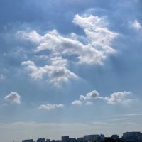 すっすー (@n6cauzcjavtjhpc) 's Twitter Profile