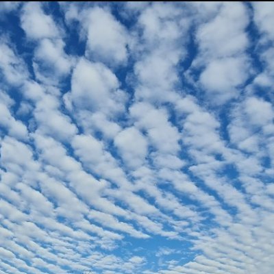 jprwood63's profile picture. 