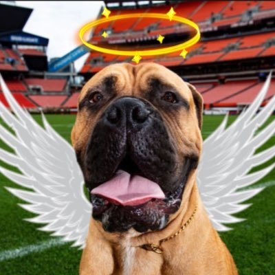 trayray27's profile picture. Former mascot for the Cleveland Browns. I enjoyed domestic light beers, Cleveland sports, and a good bone 😼(not dead)