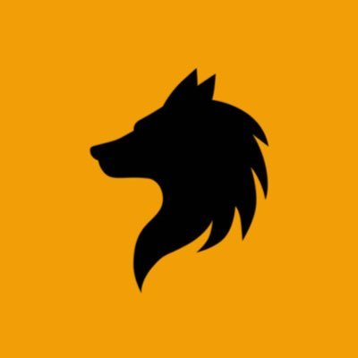 Wolves Fan Page 🐺 All the latest transfer news, live match updates and more! IG: Inside_Wolves