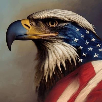 FreedomEagle65's profile picture. 🇺🇸Sarcasm, humor, snark & commentary, Anarchocapitalist Libertarian, Anti-Progressive, 1A/2A absolutist, NO DMs/PORN #patriot #IFBAP #MAGA #MAHA #gubmintsucks