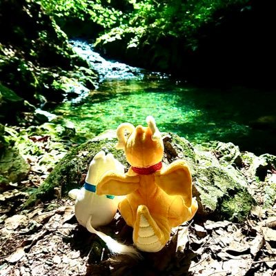 【ポケスリ&ポケポケ&ポケGO】ムーミン🐭💙/最推しカイリュー🐉🧡/ゲンガー👻💟/スイクン🩵💜/ネイティオ🦜💚/ヘルガー🐕🦺🔥║相棒のナナユウ🐉🎋🧡筆頭に推しポケたち優先リサーチャー🔍 ║一括睡眠⛰💤 ║ポストは不定期です🙋🏻♀️🌺 ║ #大好きカイリューのナナユウ