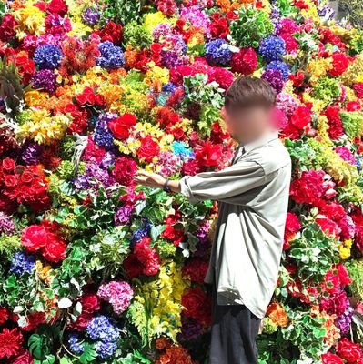 N53935829's profile picture. 178cm❀74kg✾84生❁既✿🍈