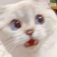 쏨 (@ssomssom77) 's Twitter Profile