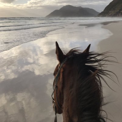 AlamriGh_'s profile picture. 💎♥️🐆