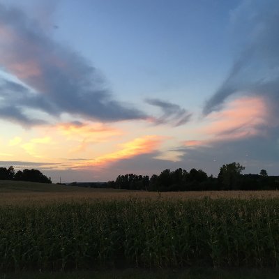 jerolyn757981's profile picture. 