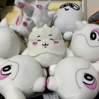 みやび (@torukemochom) 's Twitter Profile