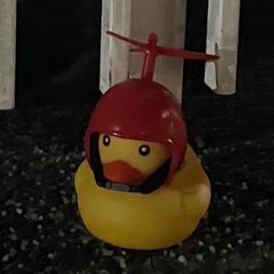 oimeron's profile picture. 音垢じゃない