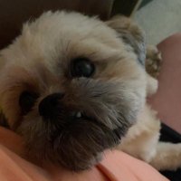 Ben Corrie (@bigbencorrie) 's Twitter Profile Photo Ben Corrie (@bigbencorrie) 's Twitter Profile Photo
