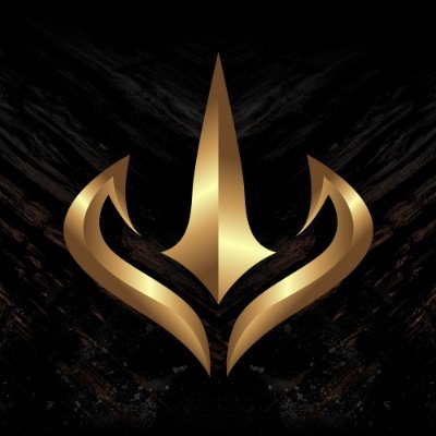 17 y/o CS player | CCO / Chief Commercial Officer for @SERA_ESPORT