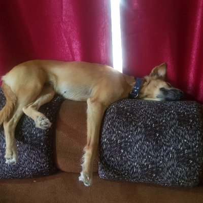 Edeyrush's profile picture. This life eh 😔