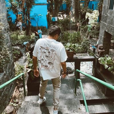 _leandroaf's profile picture. 🧇
Nerve