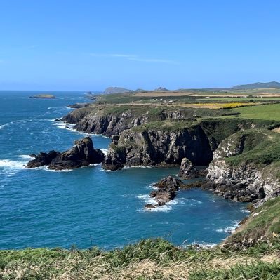 KitLiz110's profile picture. 