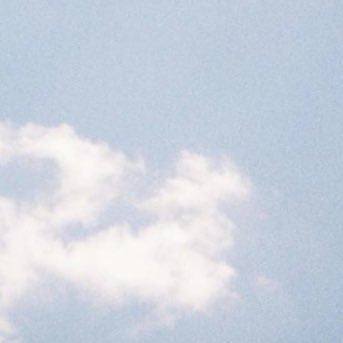 mipupepo's profile picture. 